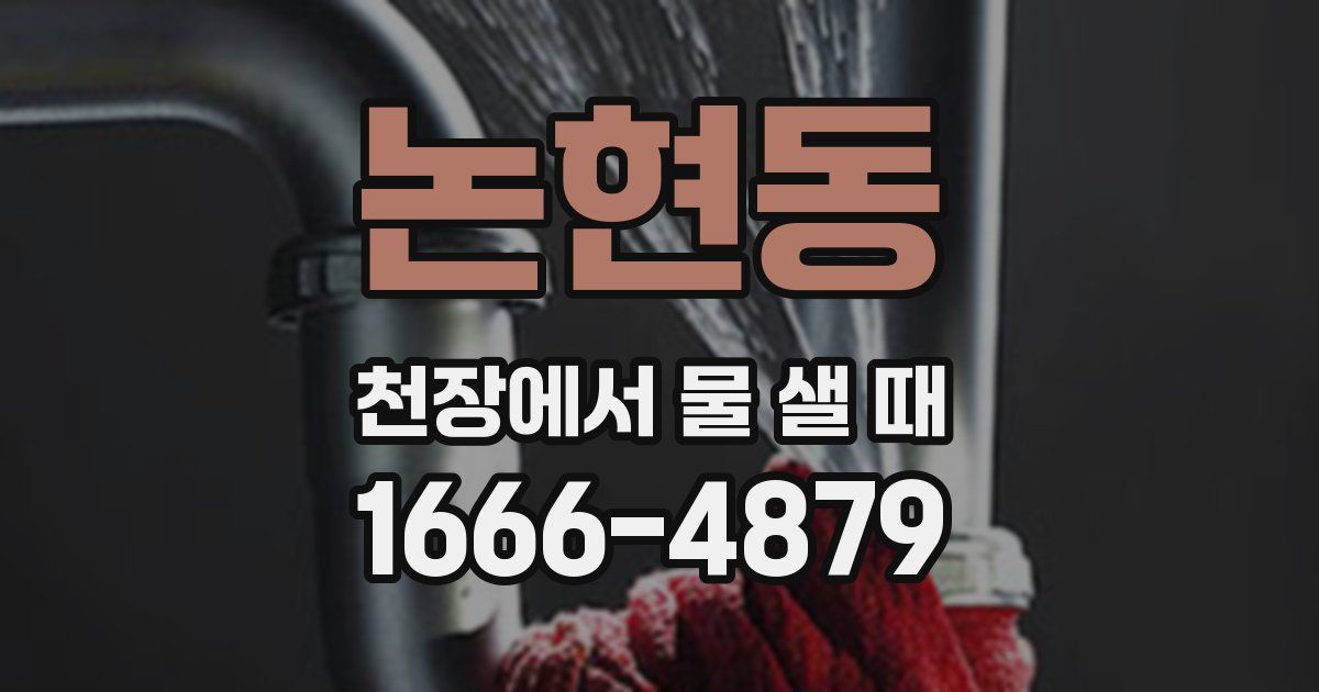 논현동 천장에서 물 샐 때