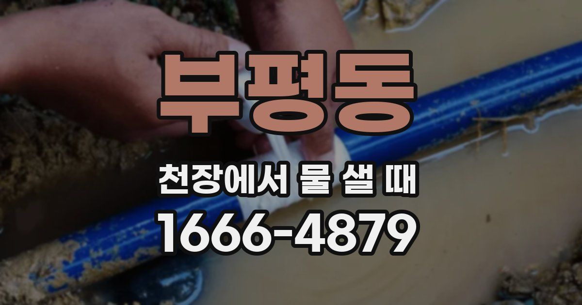 부평동 천장에서 물 샐 때