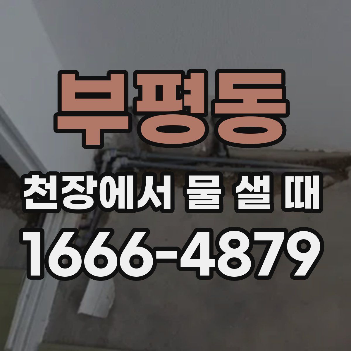부평동 천장에서 물 샐 때