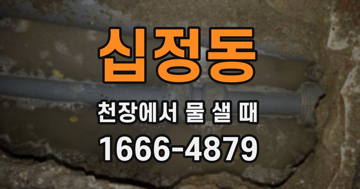 십정동 천장에서 물 샐 때