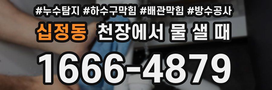 십정동 천장에서 물 샐 때