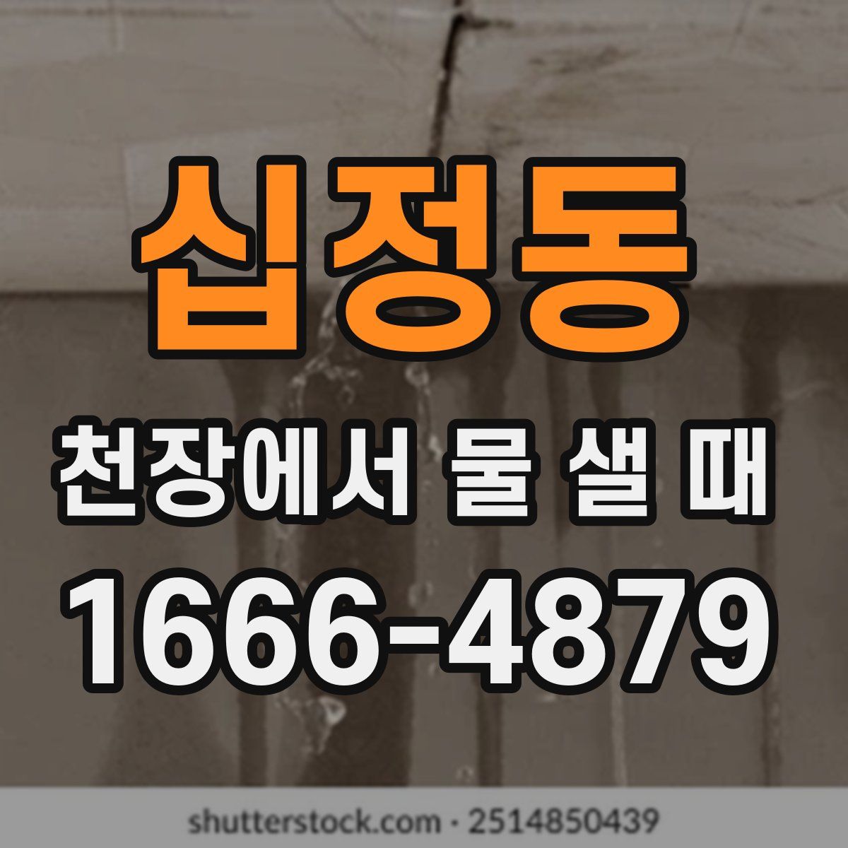 십정동 천장에서 물 샐 때