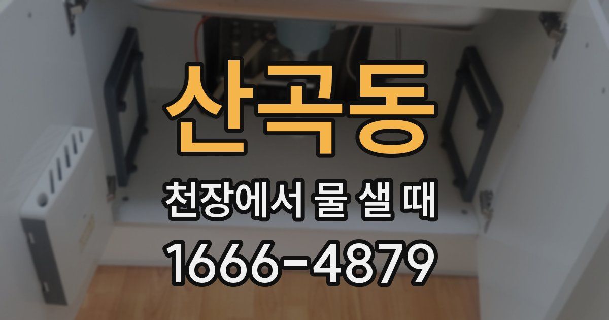 산곡동 천장에서 물 샐 때