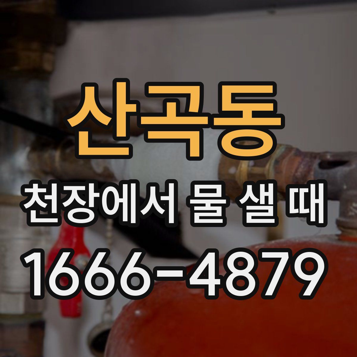 산곡동 천장에서 물 샐 때