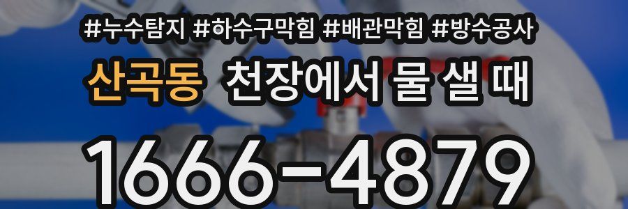 산곡동 천장에서 물 샐 때