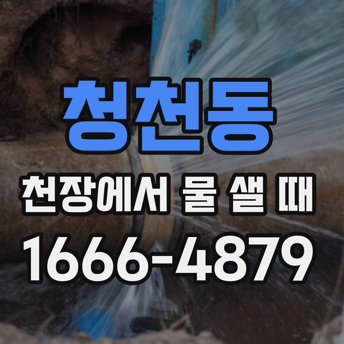 청천동 천장에서 물 샐 때