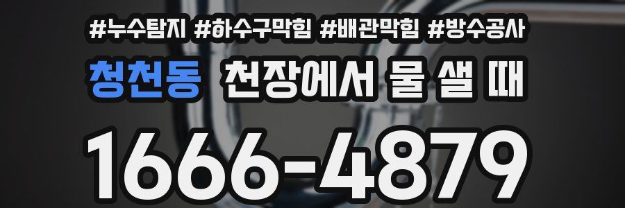 청천동 천장에서 물 샐 때
