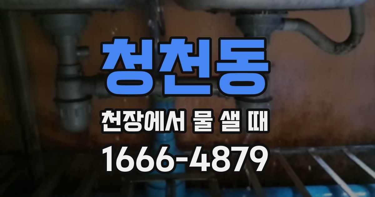 청천동 천장에서 물 샐 때