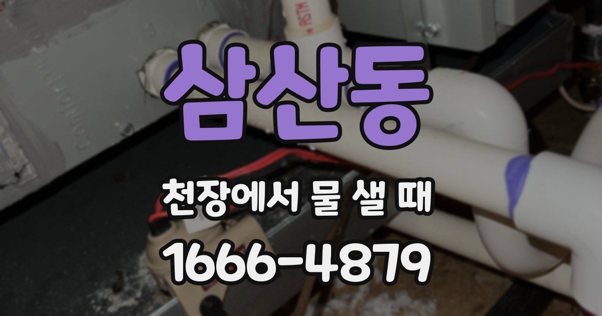 삼산동 천장에서 물 샐 때