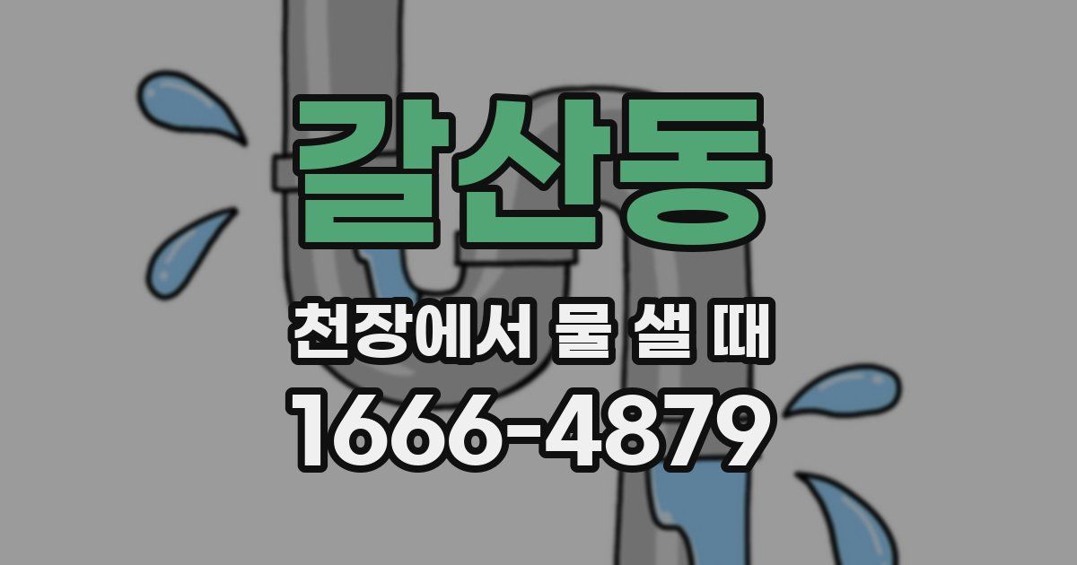 갈산동 천장에서 물 샐 때