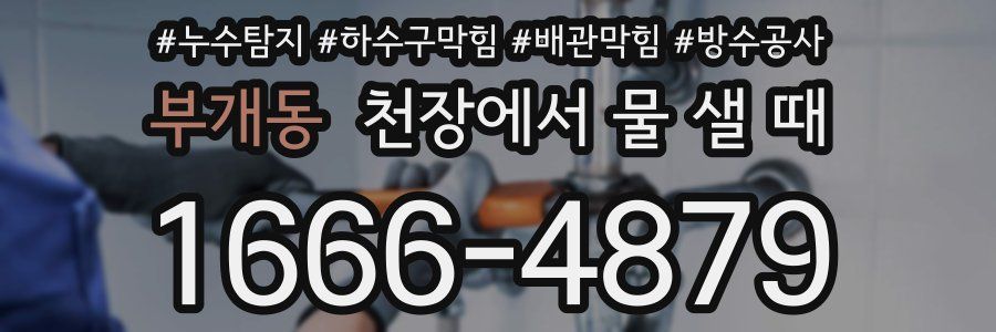 부개동 천장에서 물 샐 때