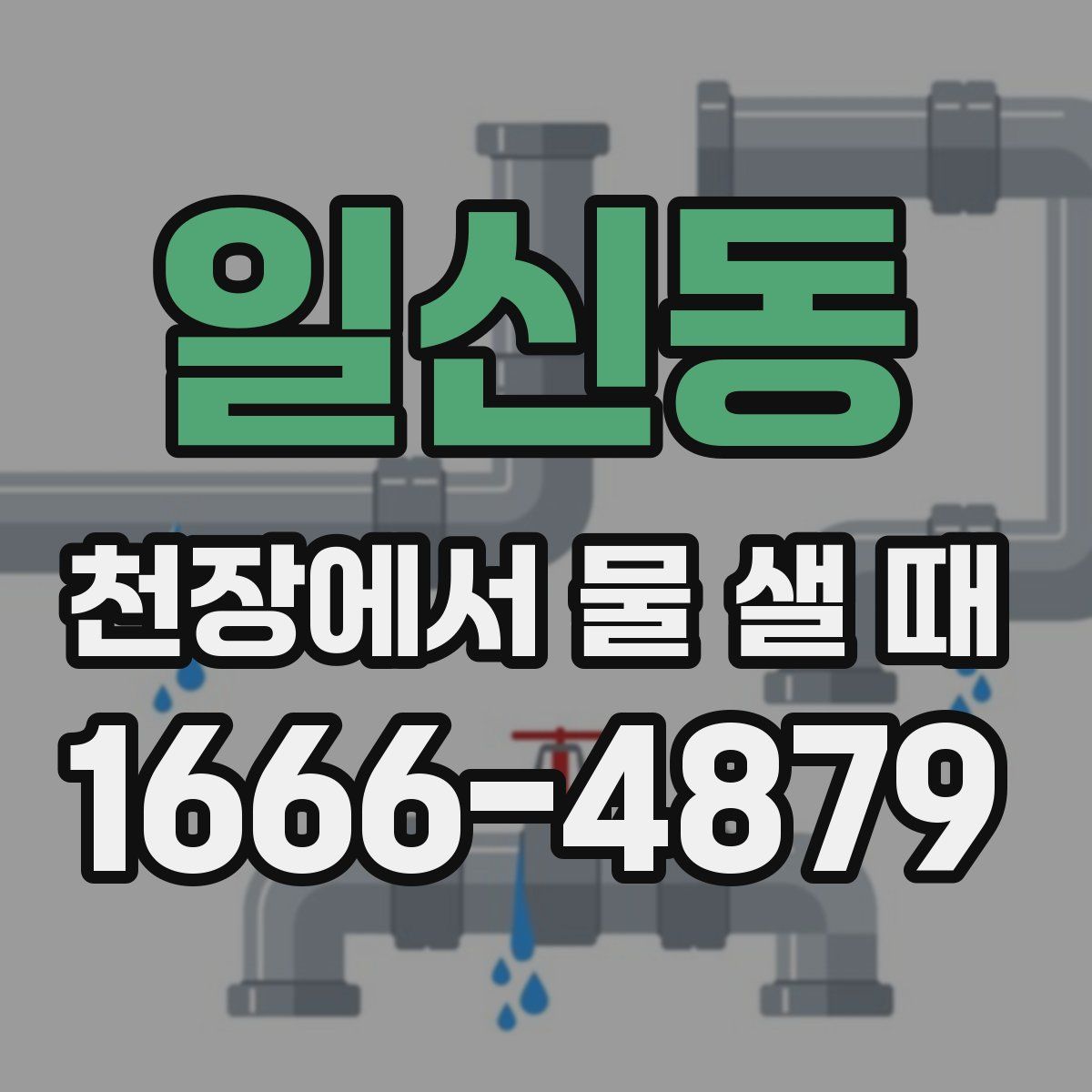 일신동 천장에서 물 샐 때