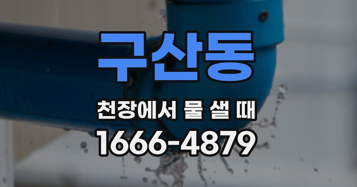 구산동 천장에서 물 샐 때