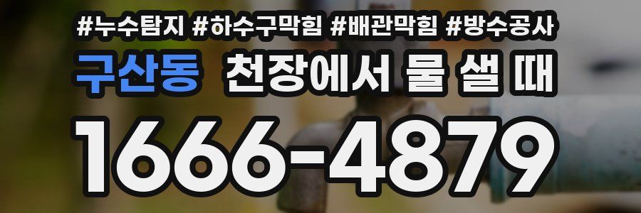 구산동 천장에서 물 샐 때