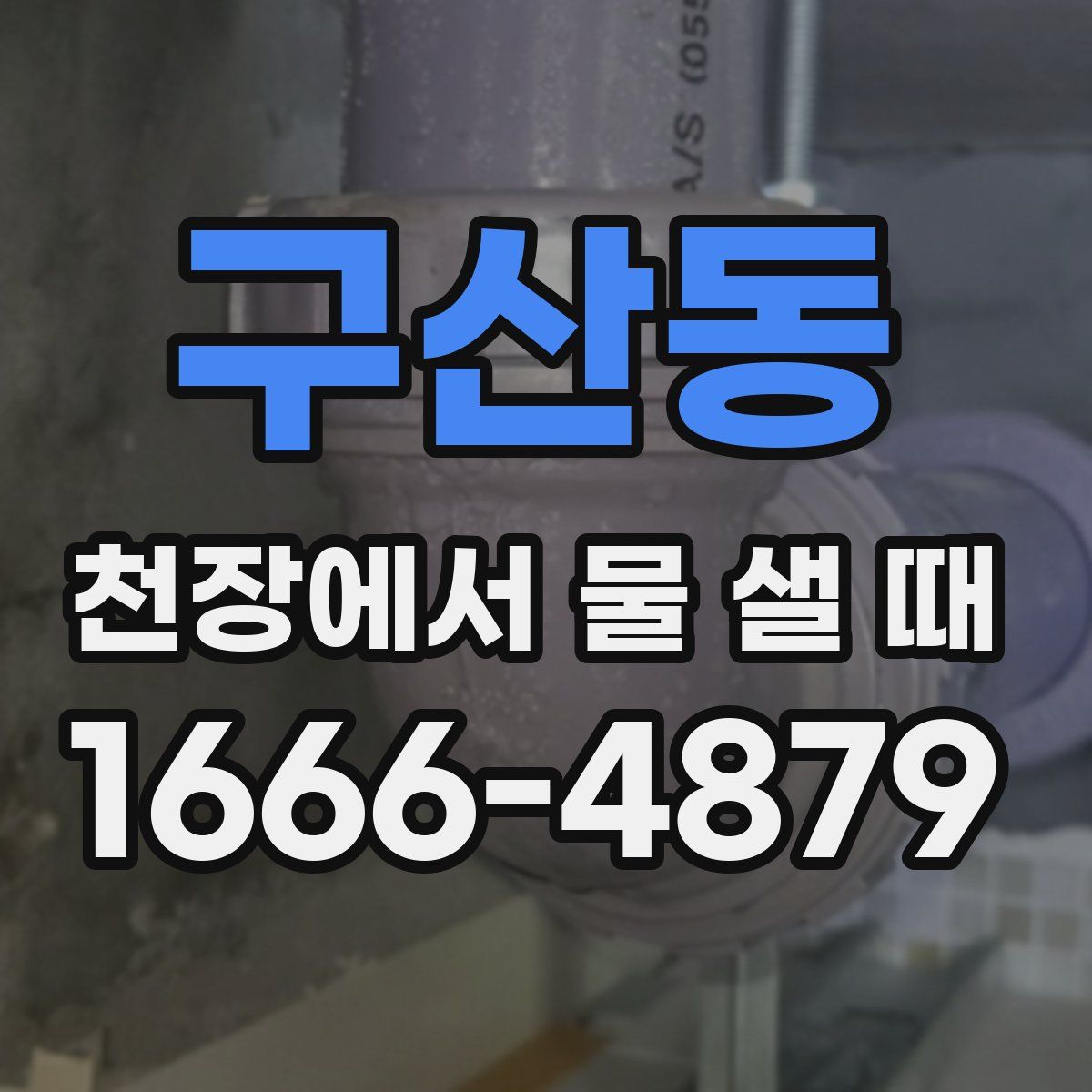 구산동 천장에서 물 샐 때