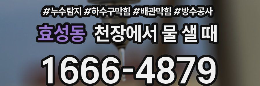 효성동 천장에서 물 샐 때