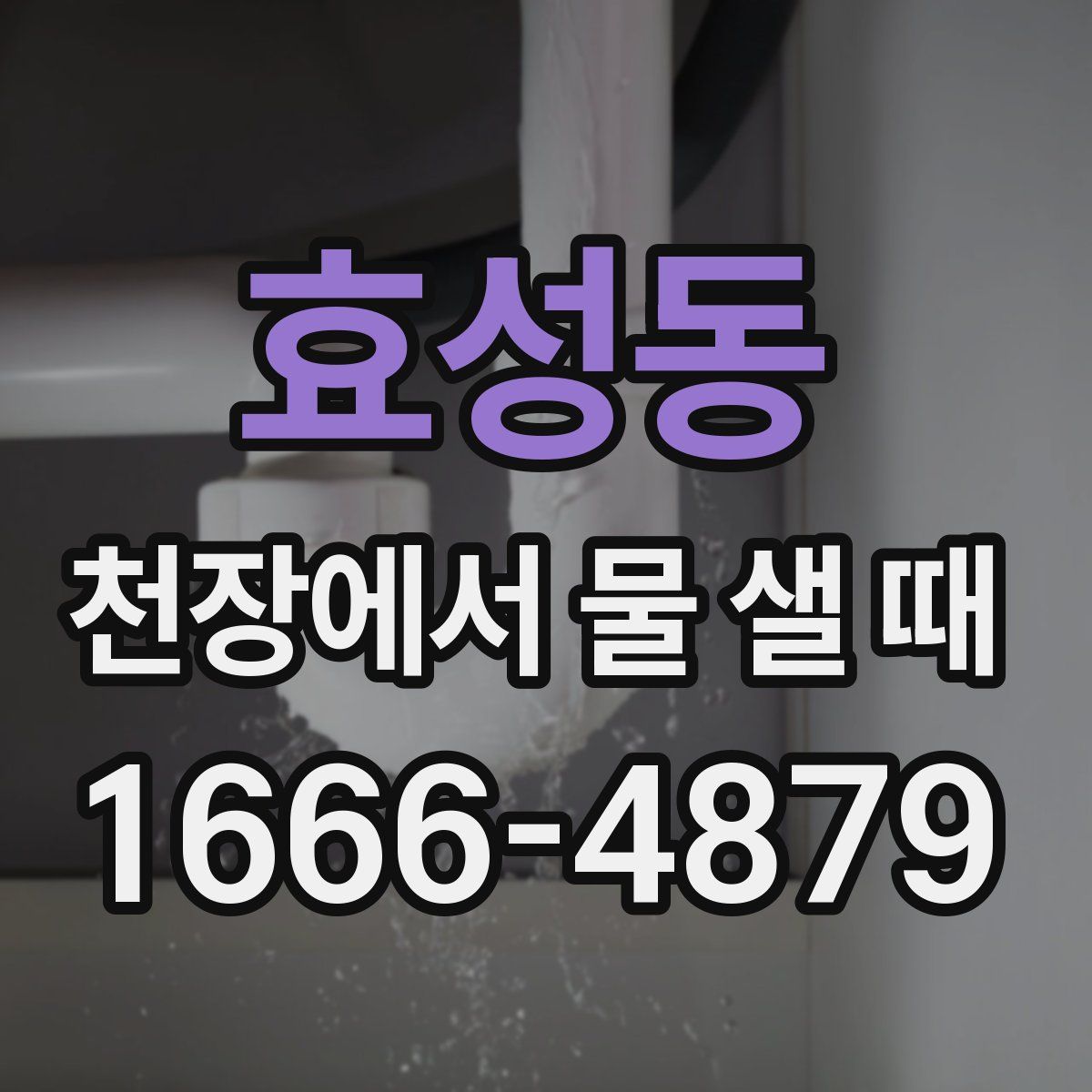 효성동 천장에서 물 샐 때