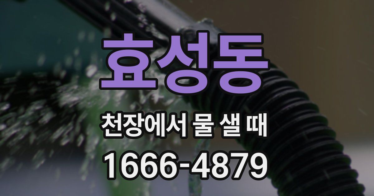 효성동 천장에서 물 샐 때