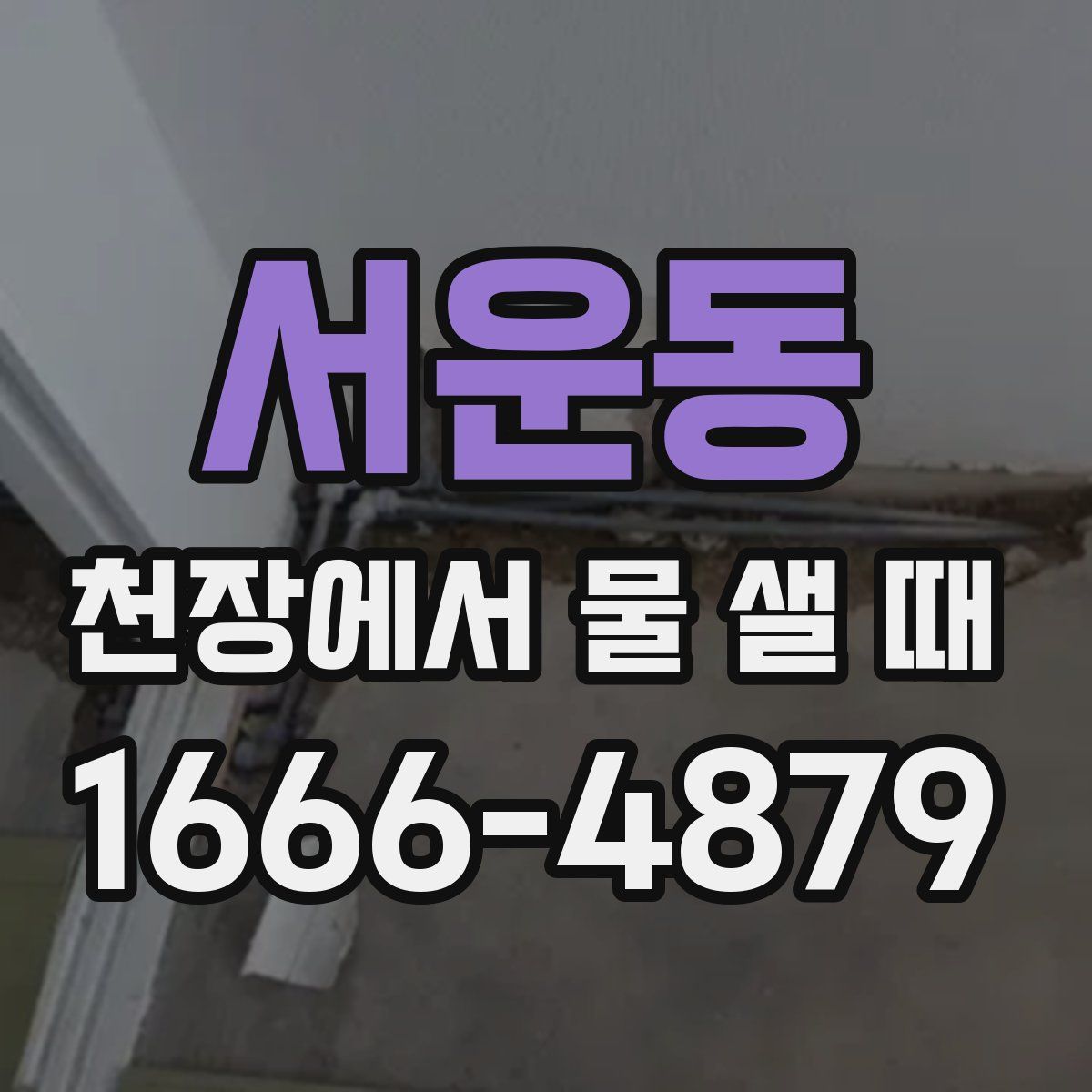 서운동 천장에서 물 샐 때