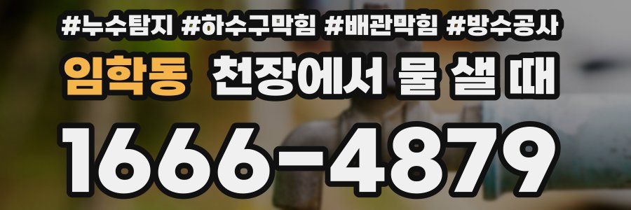 임학동 천장에서 물 샐 때