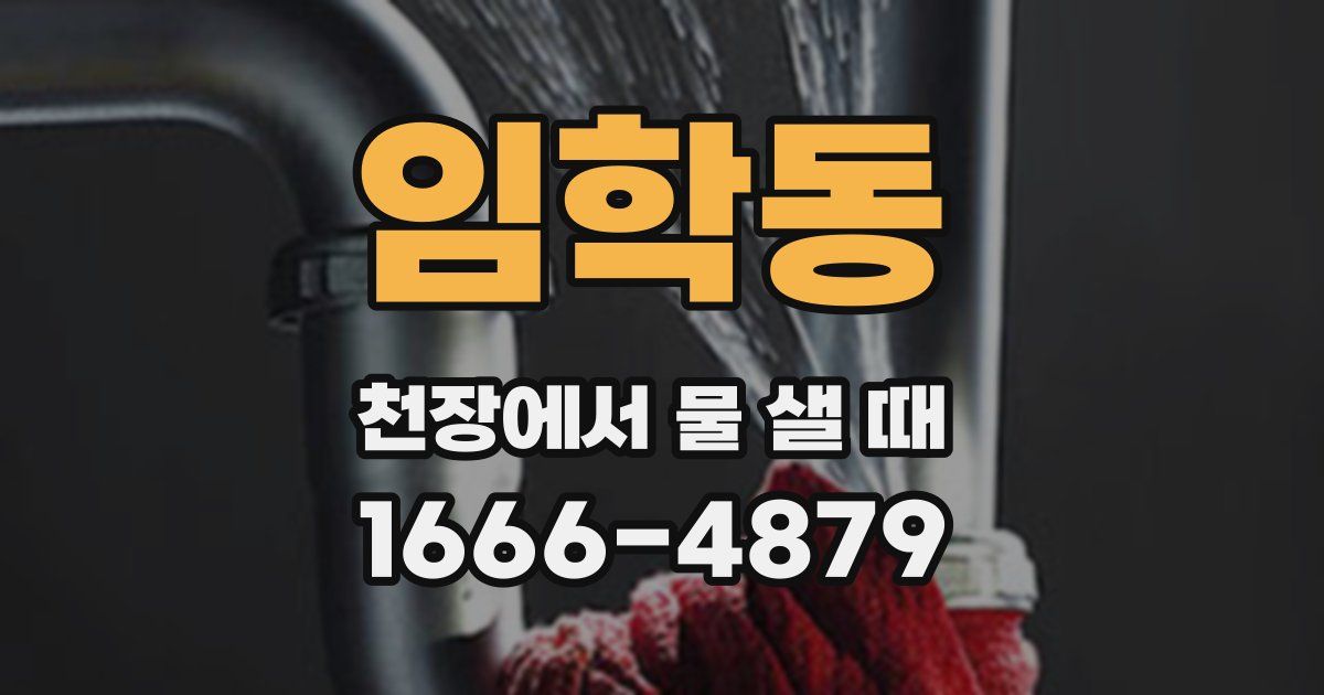임학동 천장에서 물 샐 때