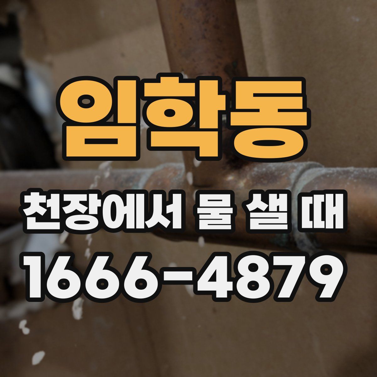 임학동 천장에서 물 샐 때