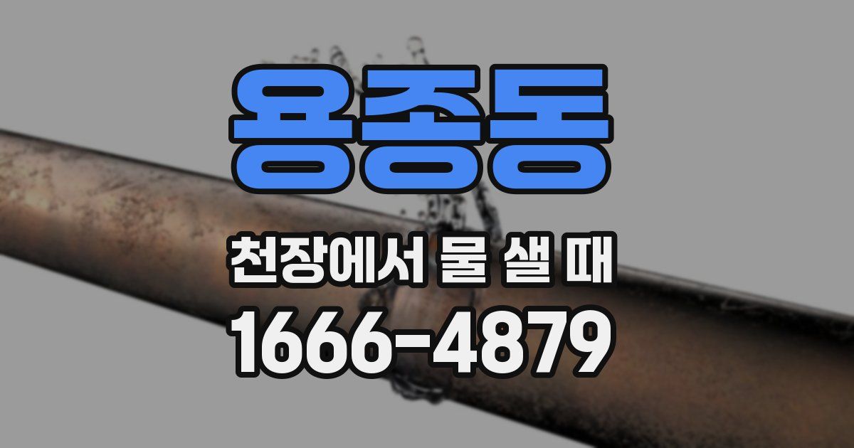 용종동 천장에서 물 샐 때