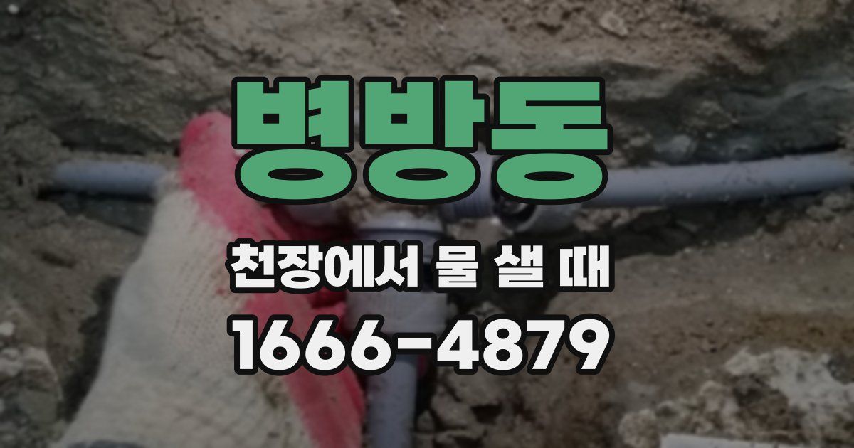 병방동 천장에서 물 샐 때