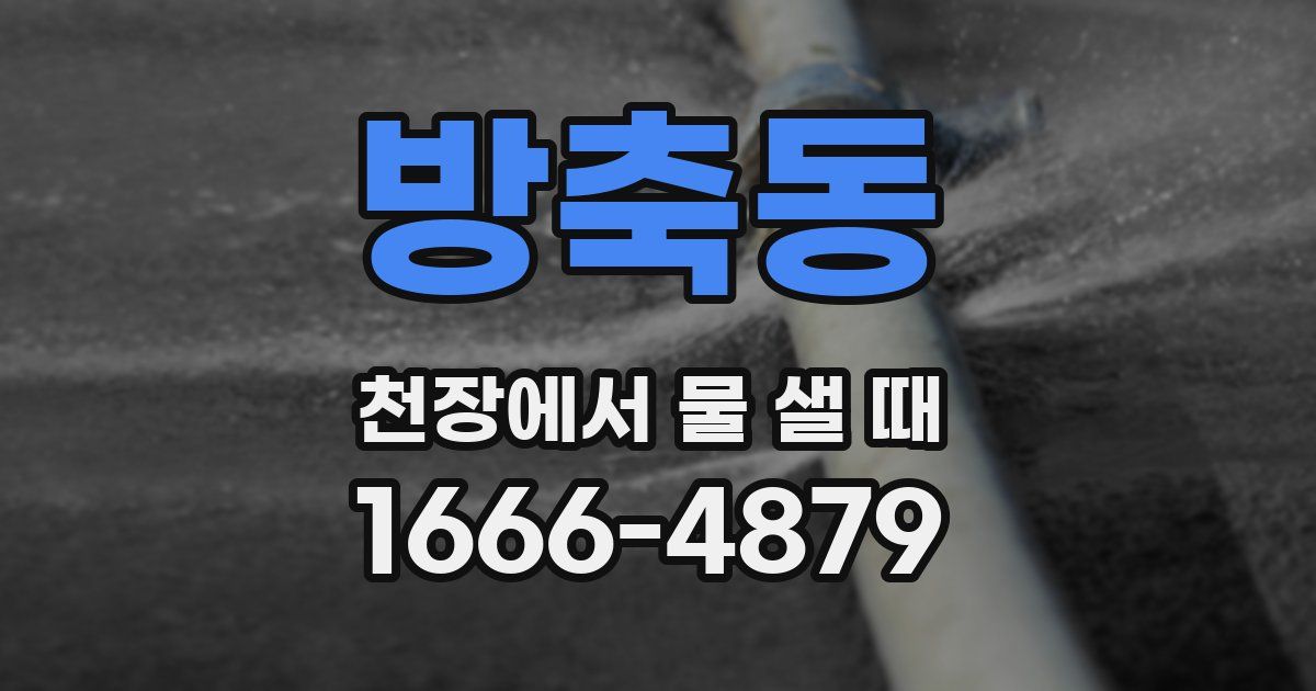 방축동 천장에서 물 샐 때
