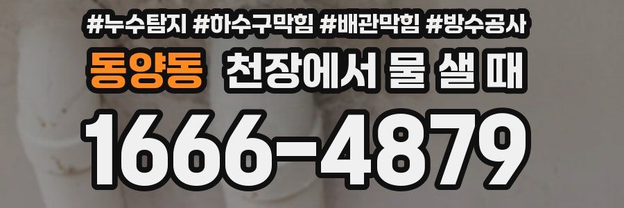 동양동 천장에서 물 샐 때