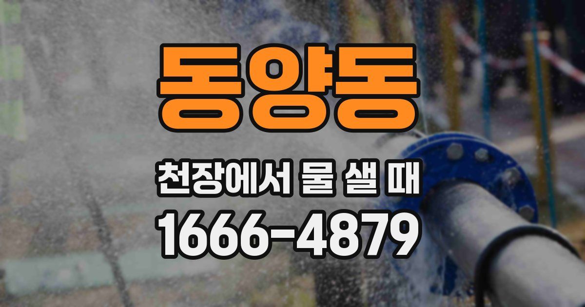 동양동 천장에서 물 샐 때