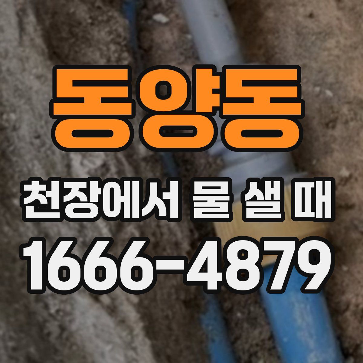 동양동 천장에서 물 샐 때