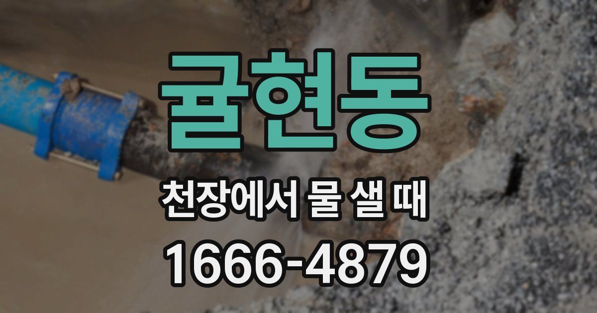 귤현동 천장에서 물 샐 때