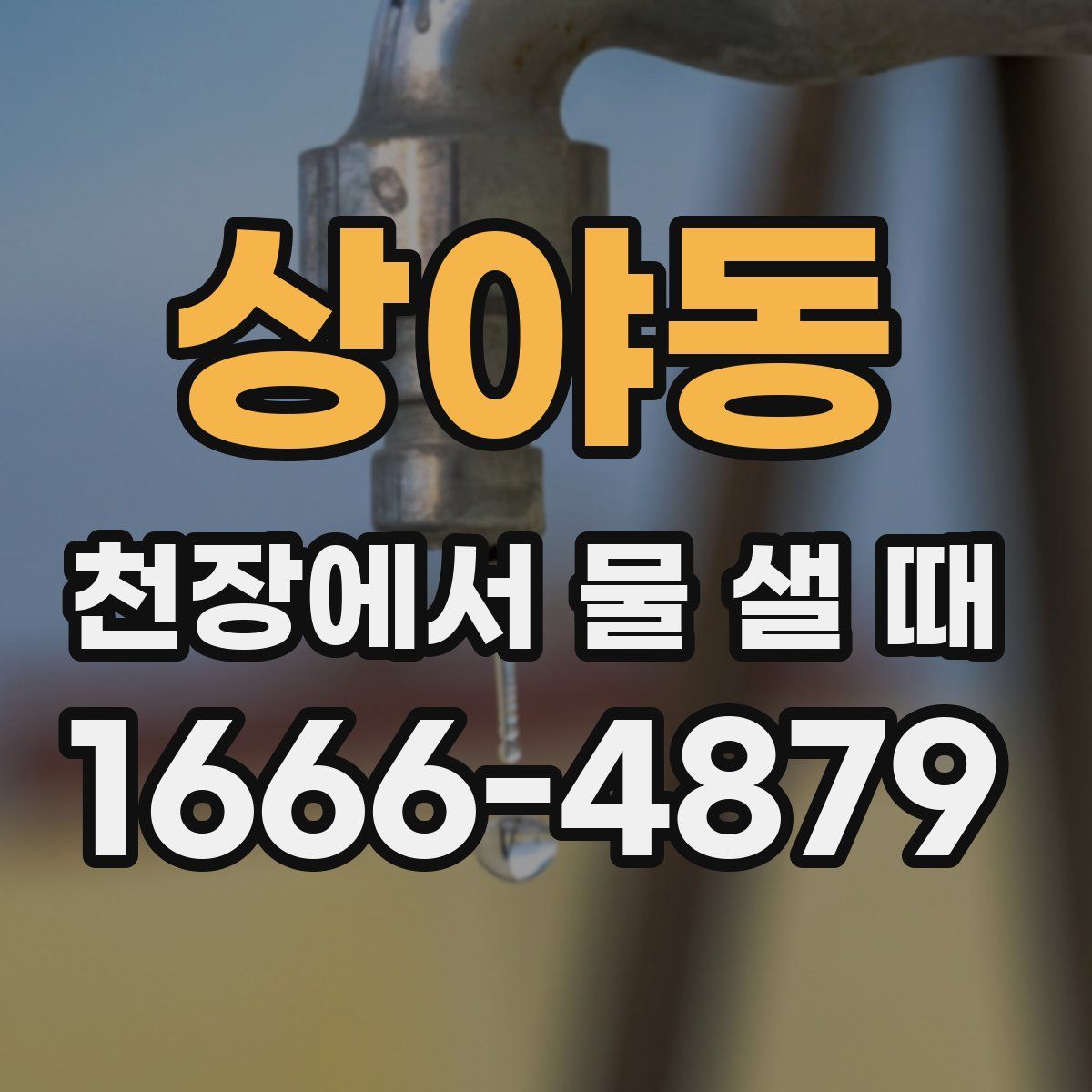 상야동 천장에서 물 샐 때