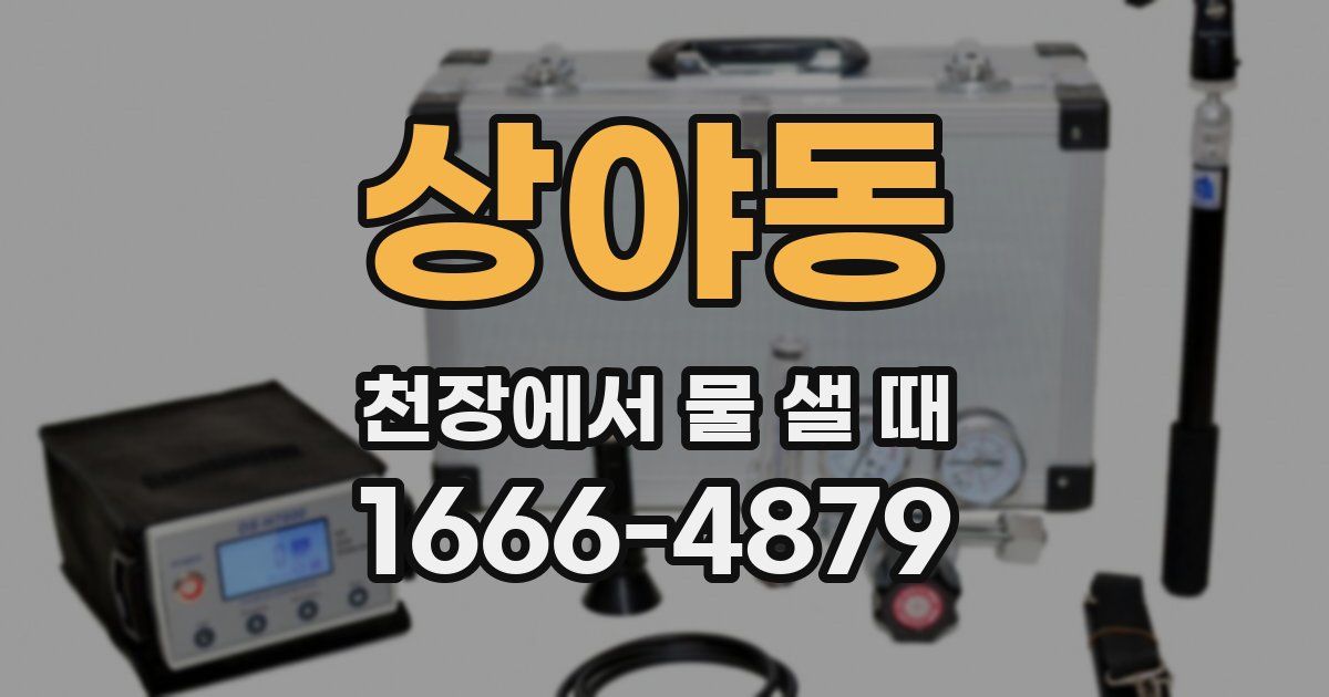 상야동 천장에서 물 샐 때