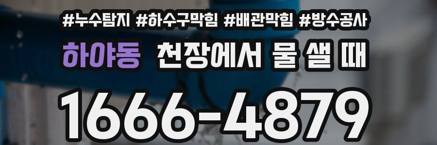 하야동 천장에서 물 샐 때