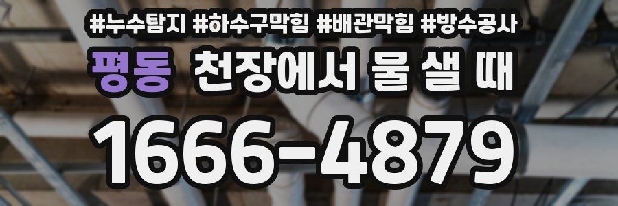 평동 천장에서 물 샐 때