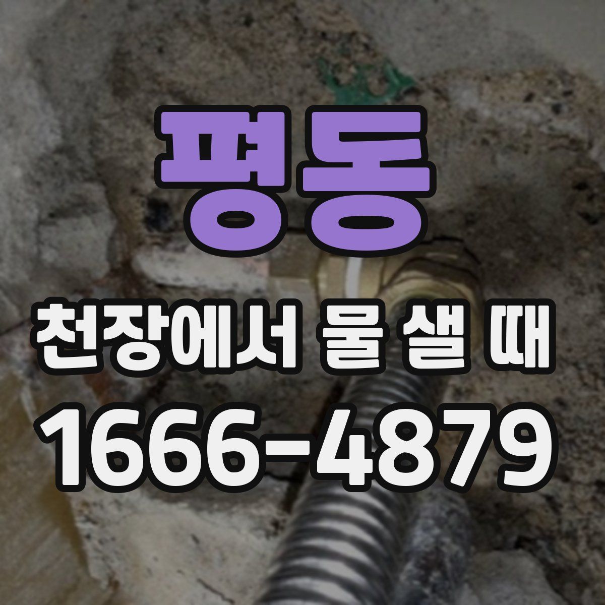 평동 천장에서 물 샐 때