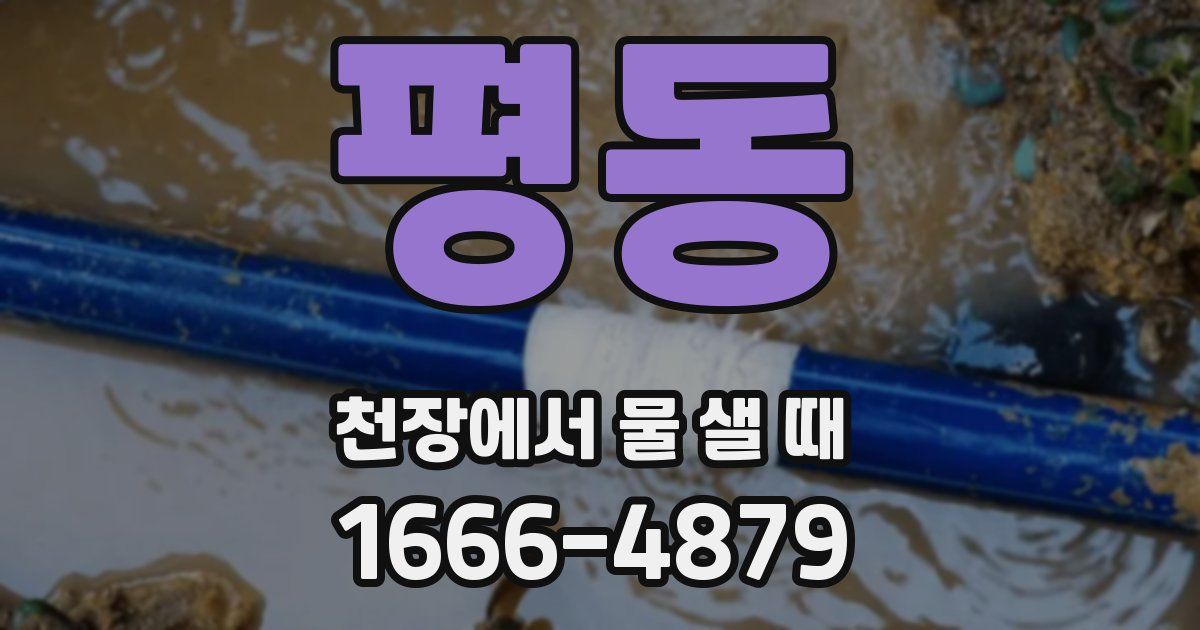 평동 천장에서 물 샐 때