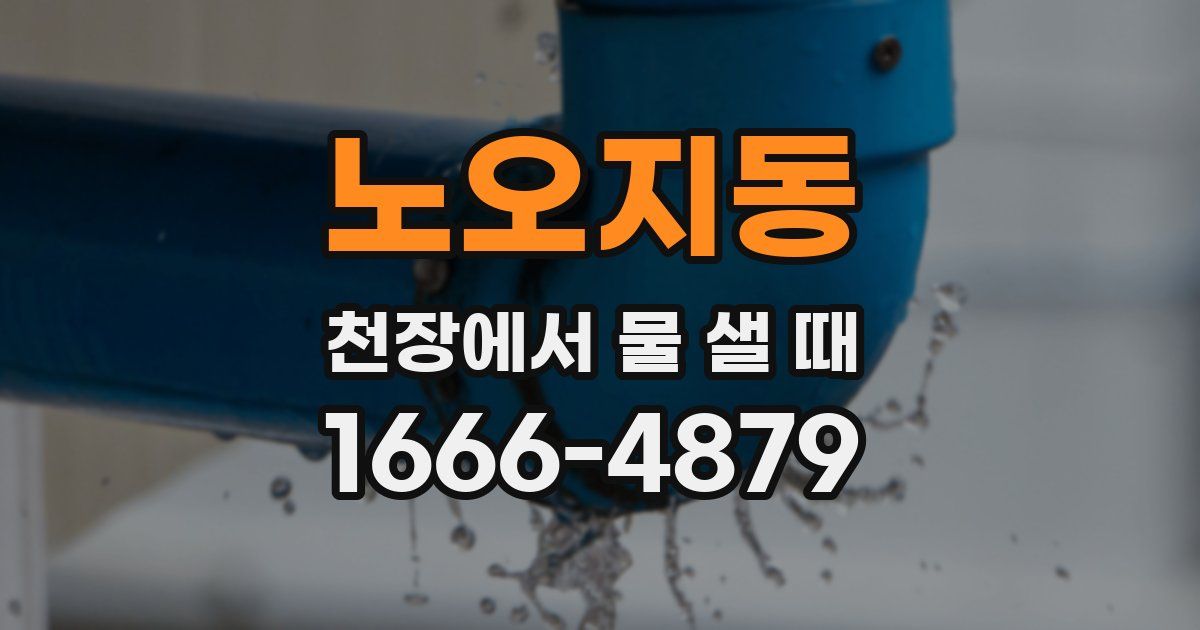 노오지동 천장에서 물 샐 때