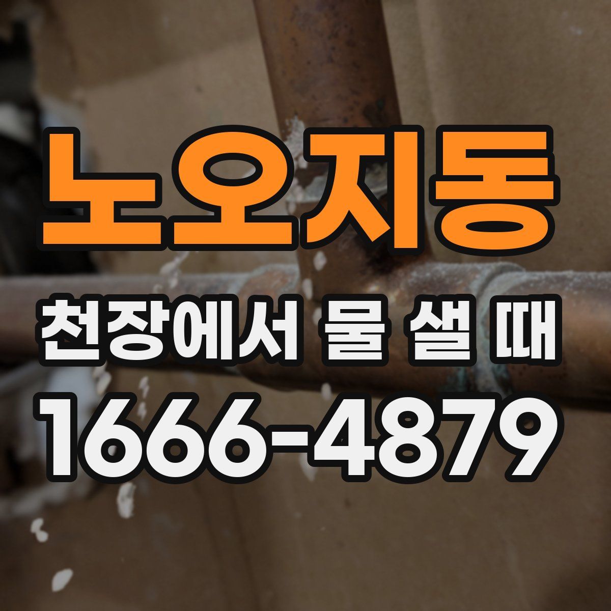 노오지동 천장에서 물 샐 때