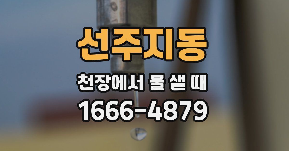 선주지동 천장에서 물 샐 때