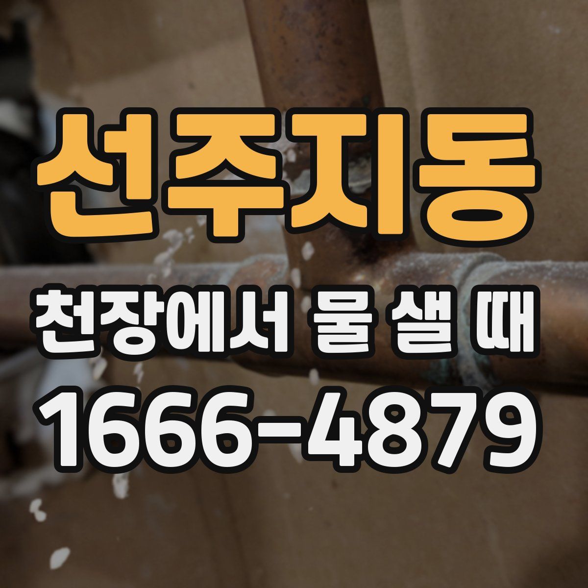 선주지동 천장에서 물 샐 때