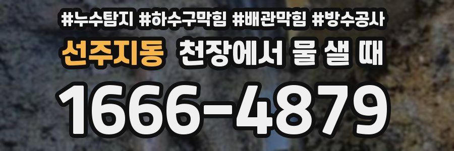 선주지동 천장에서 물 샐 때