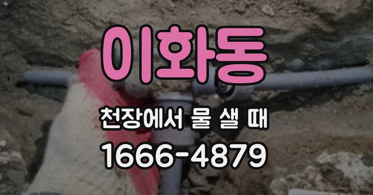 이화동 천장에서 물 샐 때