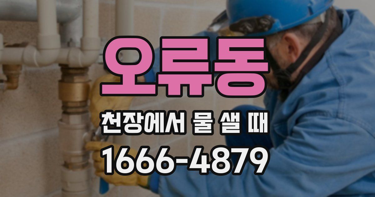 오류동 천장에서 물 샐 때