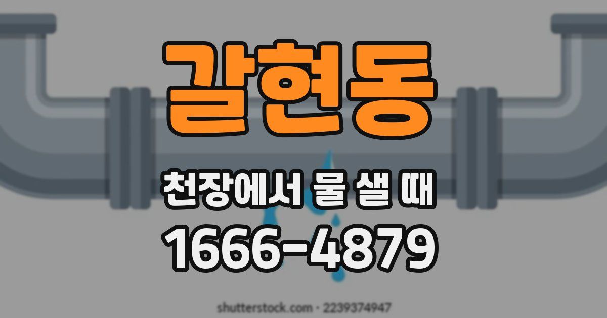 갈현동 천장에서 물 샐 때
