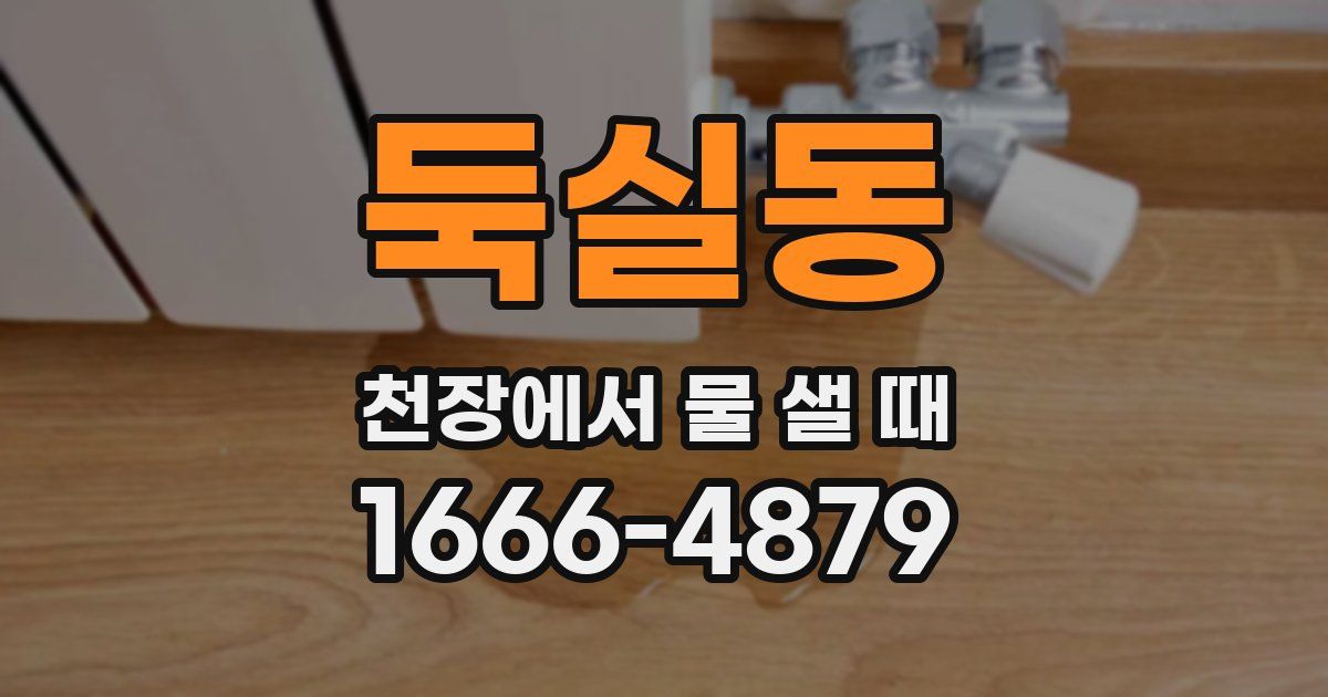 둑실동 천장에서 물 샐 때