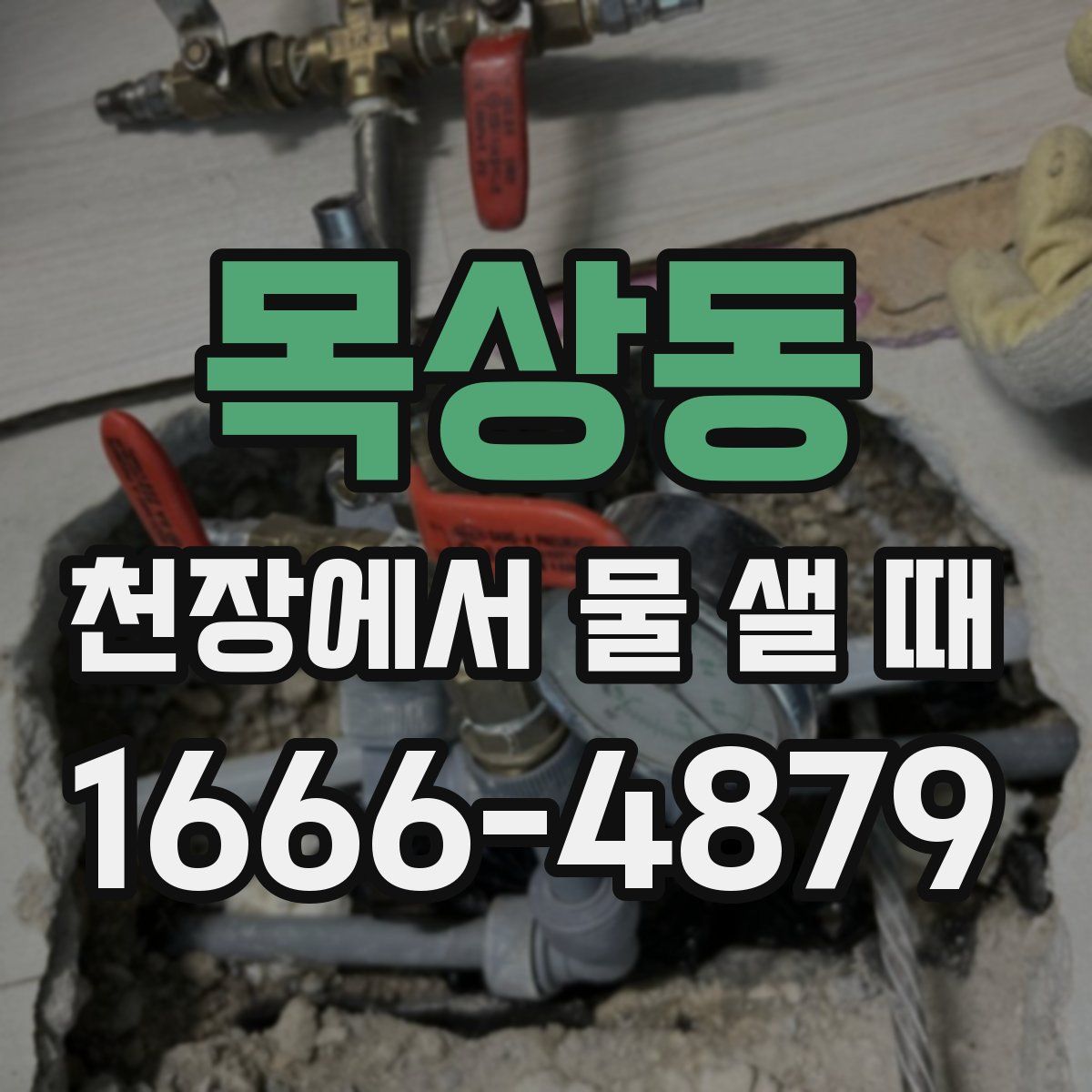 목상동 천장에서 물 샐 때