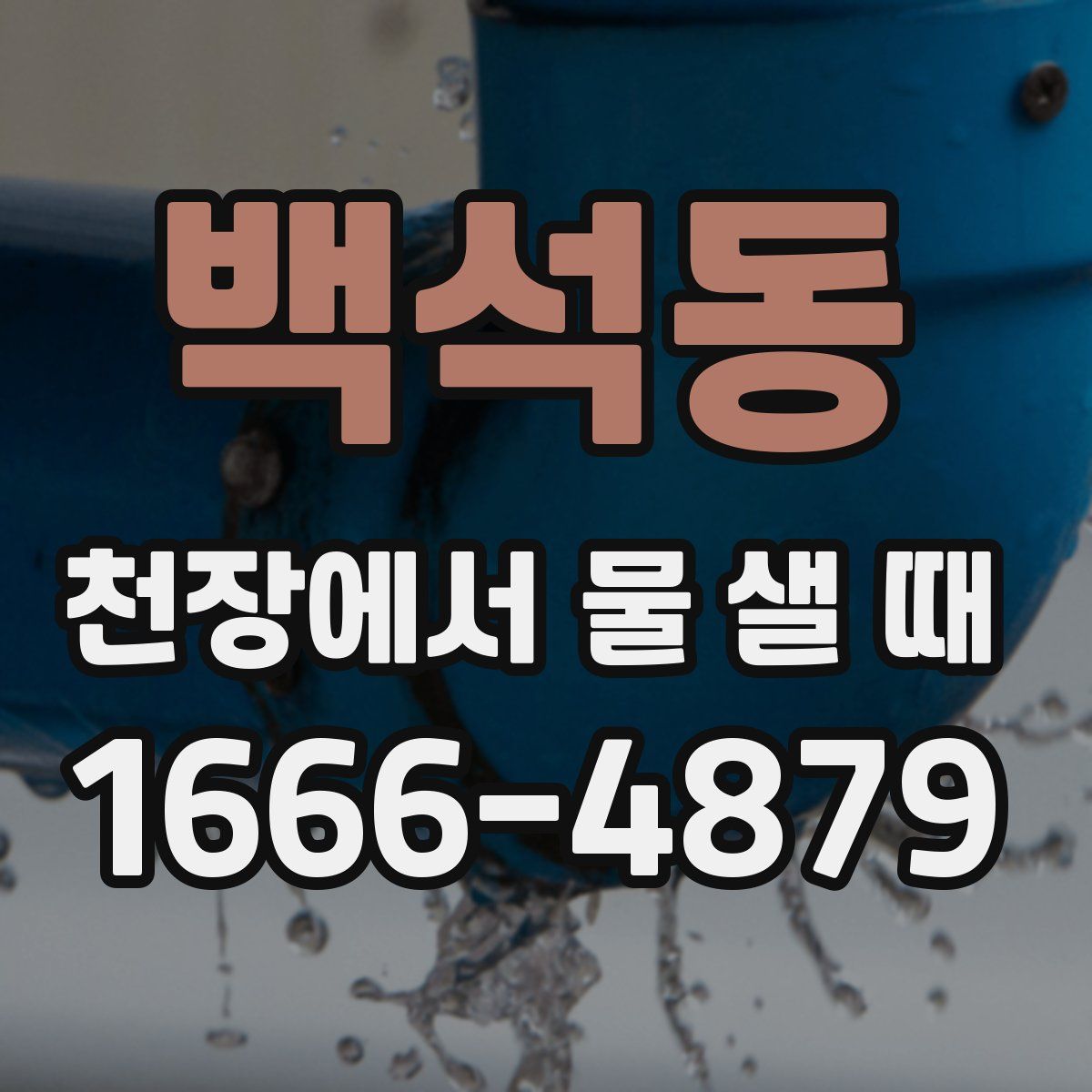 백석동 천장에서 물 샐 때